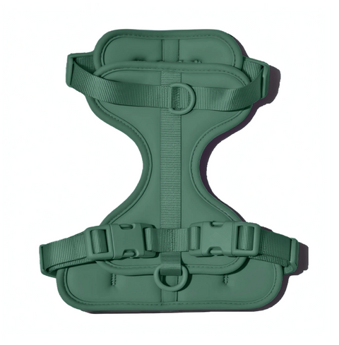 Doxie Harness