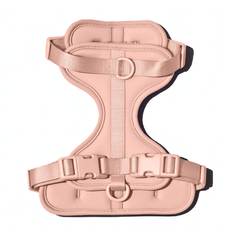 Doxie Harness
