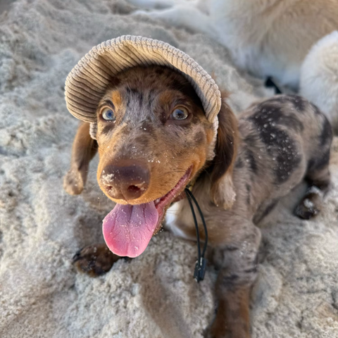 Sun Hat