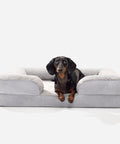 Light Gray Doxie Cloud Bed with a mini dachshund inside