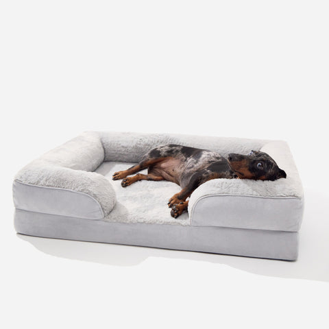 Light Gray Doxie Cloud Bed with a mini dachshund lying inside