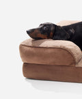 Brown Doxie Cloud Bed, dachshund resting her chin on the bolster