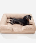 Beige Doxie Cloud Bed with a mini dachshund lying inside, seen from above
