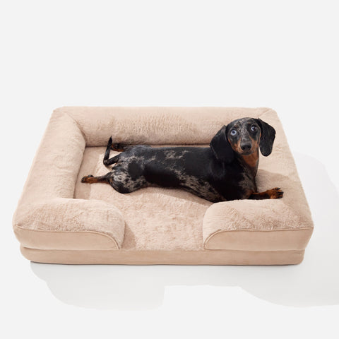 Beige Doxie Cloud Bed with a mini dachshund lying inside, seen from above