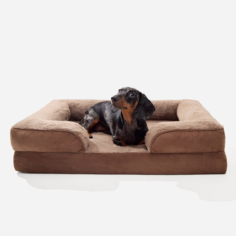 Brown Doxie Cloud Bed with a mini dachshund lying inside