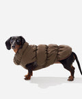 Espresso fleece puffer jacket on a mini dachshund, side view