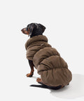 Espresso fleece puffer jacket on a dachshund sitting, seen from behind