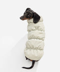 Beige fleece puffer jacket on a dachshund sitting, seen from behind