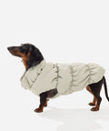 Beige fleece puffer jacket on a mini dachshund, side view