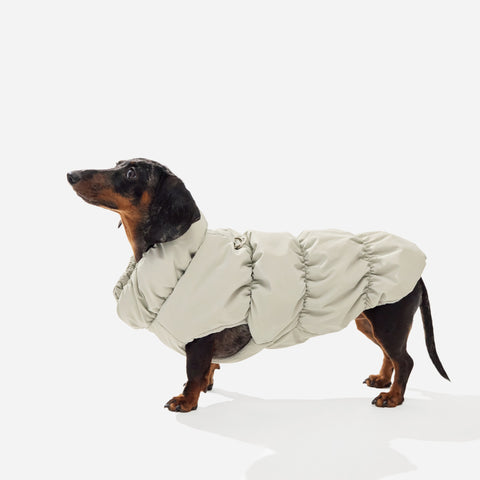 Beige fleece puffer jacket on a mini dachshund, side view
