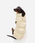 Cream fleece puffer jacket on a dachshund sitting, seen from behind