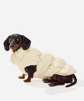 Cream fleece puffer jacket on a dachshund sitting, seen from side