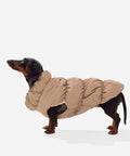 Mocha fleece puffer jacket on a mini dachshund, side view