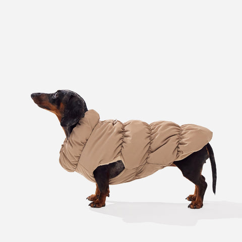Mocha fleece puffer jacket on a mini dachshund, side view