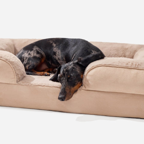 Beige Doxie Cloud Bed, dachshund asleep with her chin on the bolster