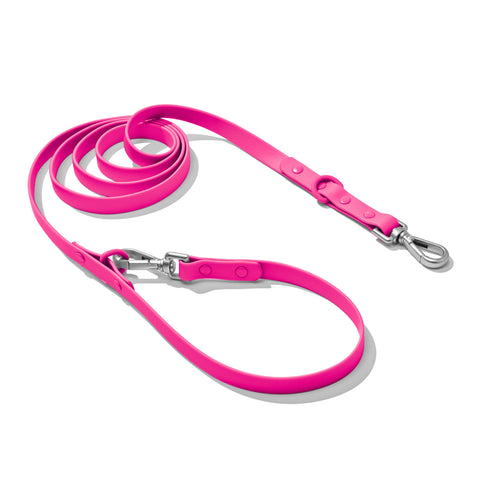 Hot Pink dachshund leash — Doxie Warehouse
