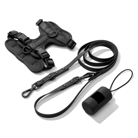 Black dachshund walk set with matching harness and leash — Doxie Warehouse
