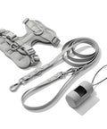 Light Gray dachshund walk set with matching harness and leash — Doxie Warehouse