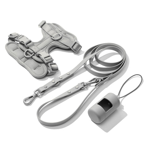 Light Gray dachshund walk set with matching harness and leash — Doxie Warehouse