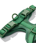 Dachshund harness buckles and webbing shown up close