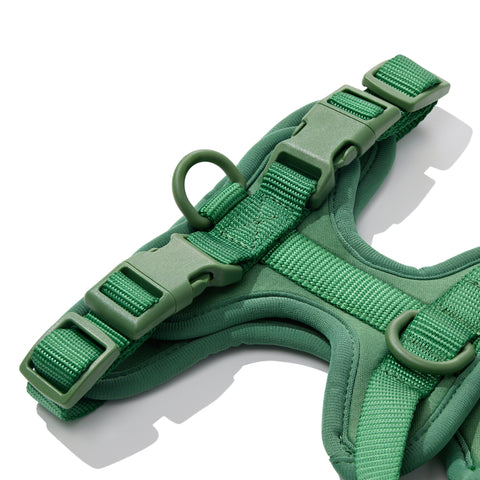 Detail of Dachshund Harness