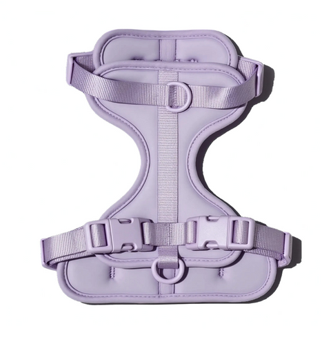 Doxie Harness