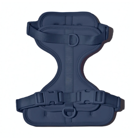 Doxie Harness