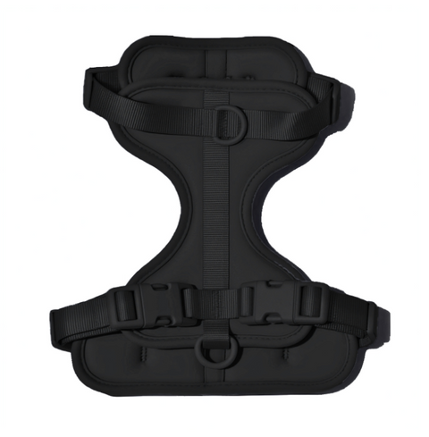 Doxie Harness