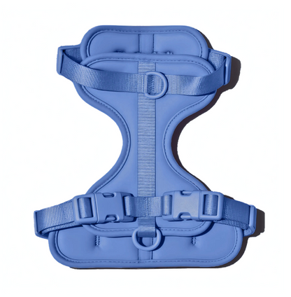 Doxie Harness