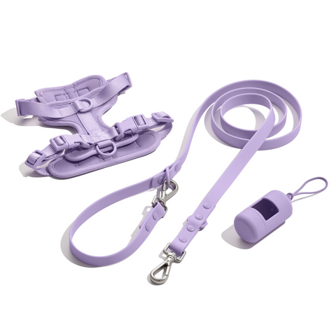 Doxie Walk Set