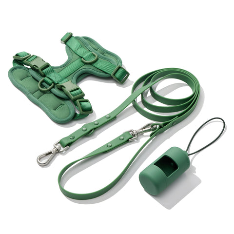 Forest Green dachshund walk set with matching harness and leash — Doxie Warehouse