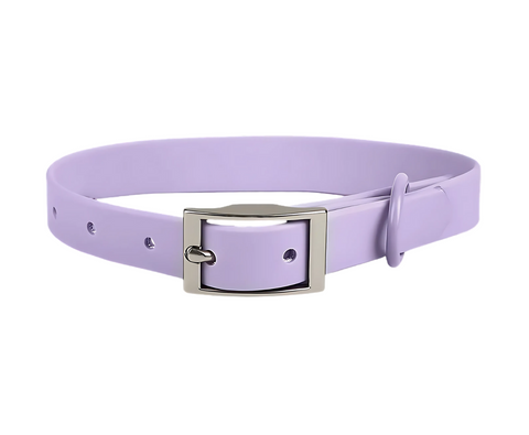 Quick Walk Collar
