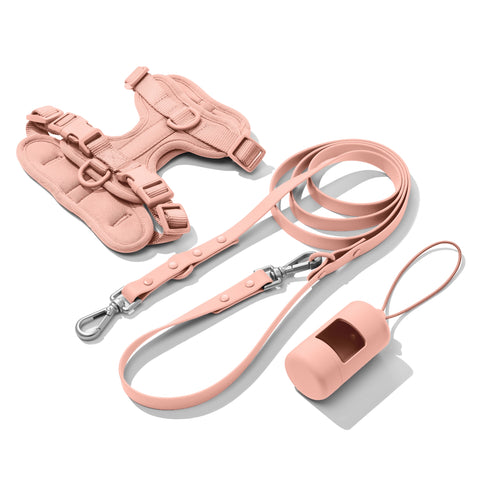 Light Pink dachshund walk set with matching harness and leash — Doxie Warehouse