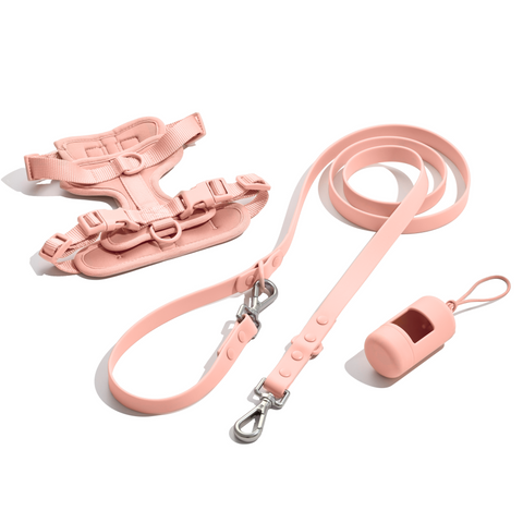 Doxie Walk Set