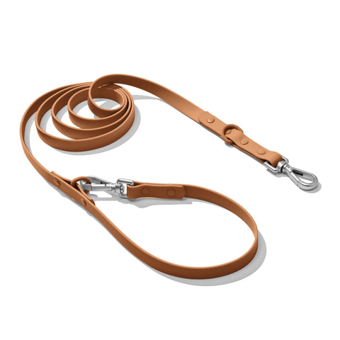 Mocha Brown dachshund leash — Doxie Warehouse