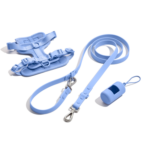 Doxie Walk Set