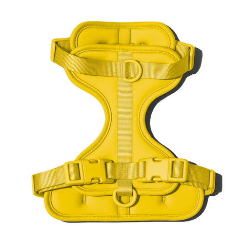 Yellow dachshund harness with padded chest support panel — Doxie Warehouse