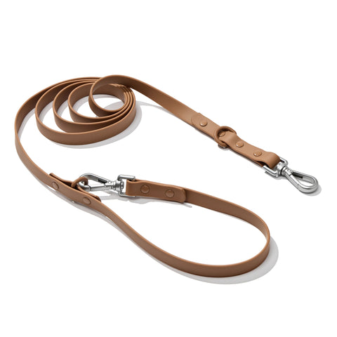 Mocha Brown dachshund leash — Doxie Warehouse