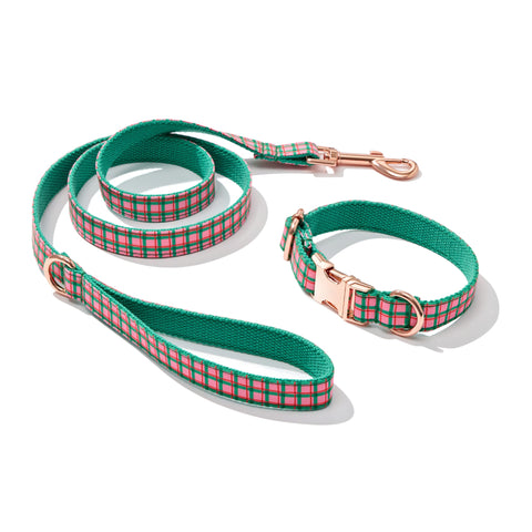 Gingham Collar