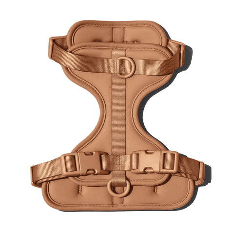 Mocha Brown dachshund harness with padded chest support panel — Doxie Warehouse