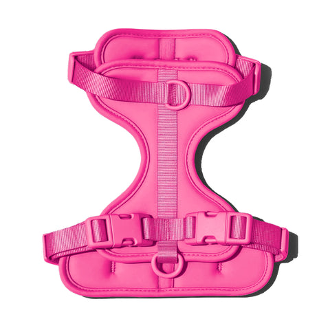 Hot Pink dachshund harness with padded chest support panel — Doxie Warehouse