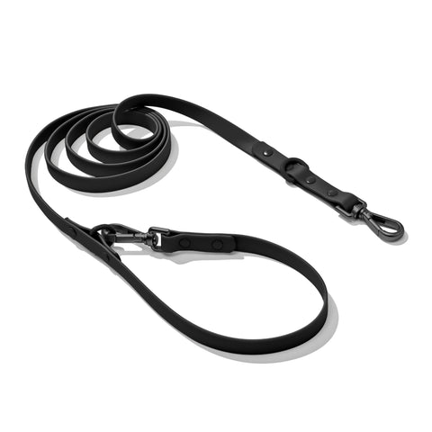 Black dachshund leash — Doxie Warehouse
