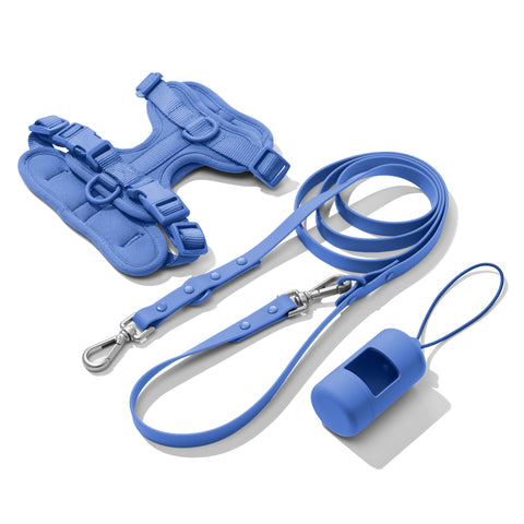 Royal Blue dachshund walk set with matching harness and leash — Doxie Warehouse