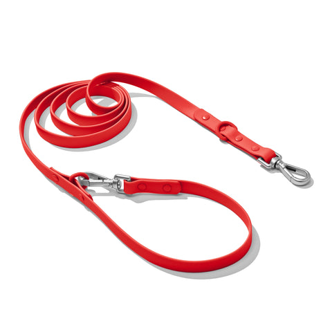 Red dachshund leash — Doxie Warehouse