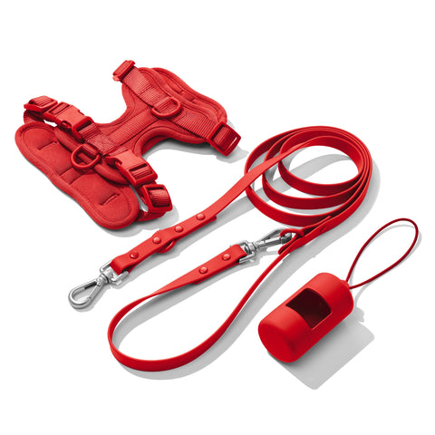 Red dachshund walk set with matching harness and leash — Doxie Warehouse