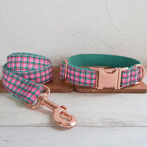 Gingham Collar