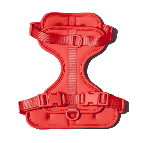 Red dachshund harness with padded chest support panel — Doxie Warehouse