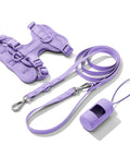 Light Purple dachshund walk set with matching harness and leash — Doxie Warehouse