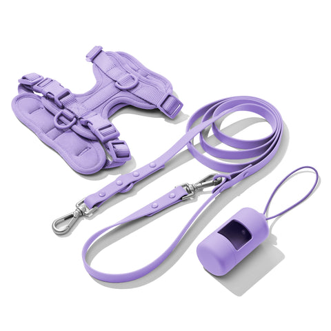 Light Purple dachshund walk set with matching harness and leash — Doxie Warehouse