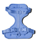 Royal Blue dachshund harness with padded chest support panel — Doxie Warehouse